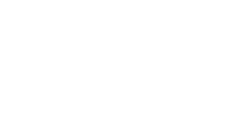 icono didi w.png