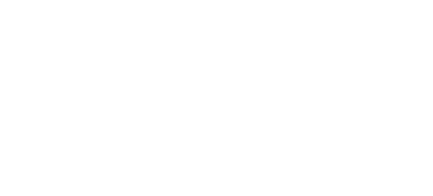 rapi logo.png